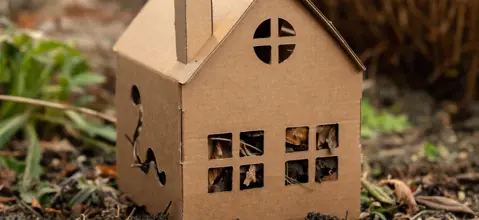 Den mega vigtige og super seje regnorm