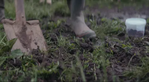 Vi har fået jord i hovedet